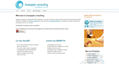 Desktop Screenshot of blueapple-consulting.com