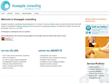 Tablet Screenshot of blueapple-consulting.com